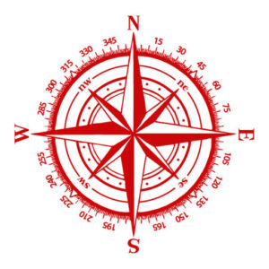 Favicon of the Direct Flight Solutions logo.