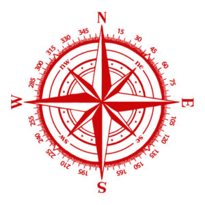 Favicon of the Direct Flight Solutions logo.